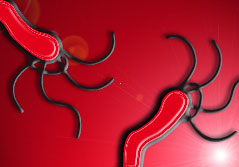 Helicobacter pylori: Die Geschichte einer unglaublichen Entdeckung