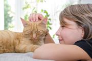 Umarme-Deine-Katze – ohne Nebenwirkungen